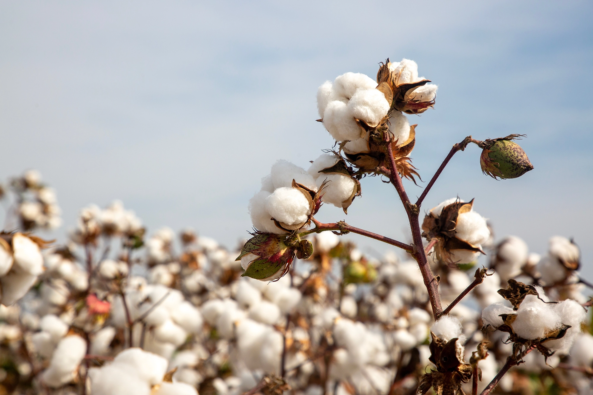 The Sustainability Challenge for Uniforms